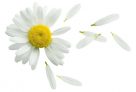 Диета для похудения живота и боков, эффективные меню, отзывы Диета для похудения живота и боков, эффективные меню, отзывы