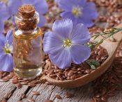 Грейпфрутовая диета для похудения, меню, отзывы и результаты Грейпфрутовая диета для похудения, меню, отзывы и результаты