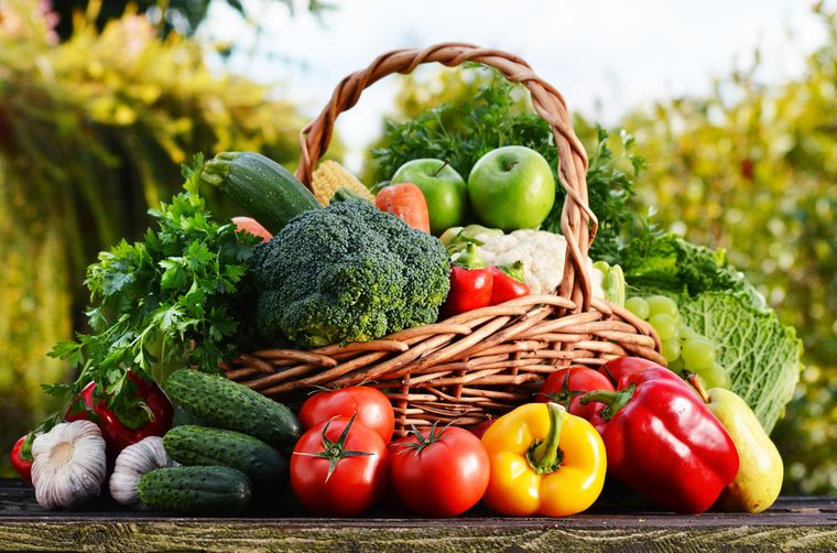 продукты для растительной диеты