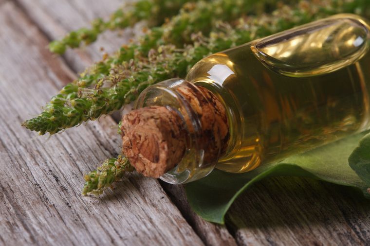 экстракт подорожника